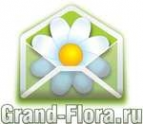 Логотип компании Доставка цветов Гранд Флора (ф-л г. Тайшет)